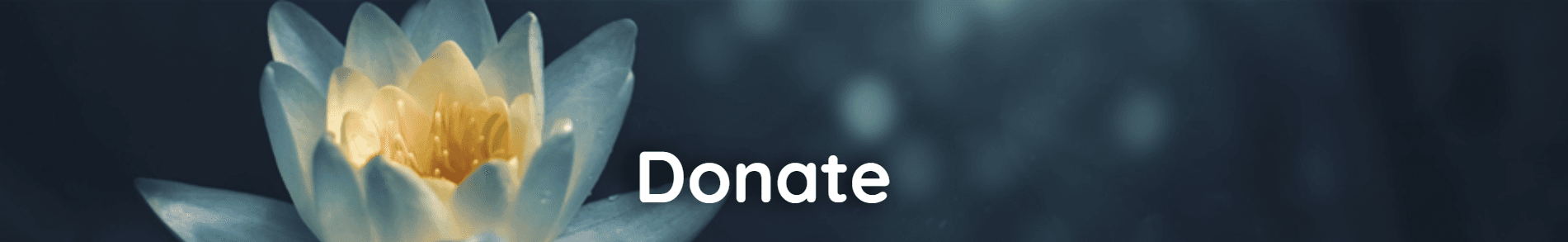 Donate to GitaQuest and help us conduct free Gita courses for all.